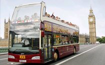 Big bus tours
