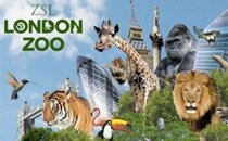 London Zoo